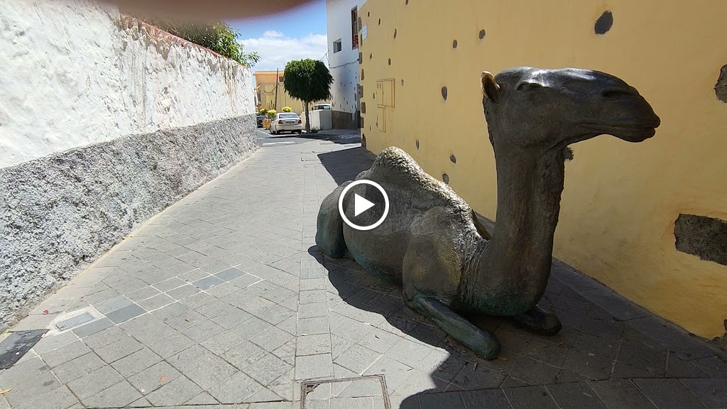 Estatua camello — Videos