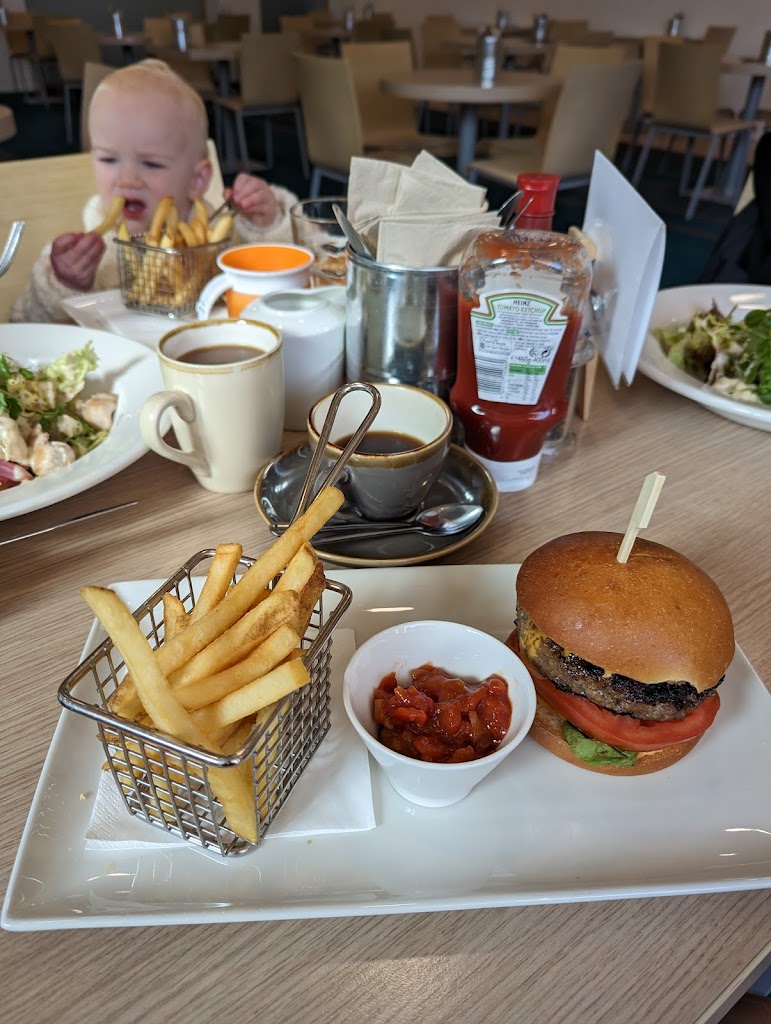 Food & drink