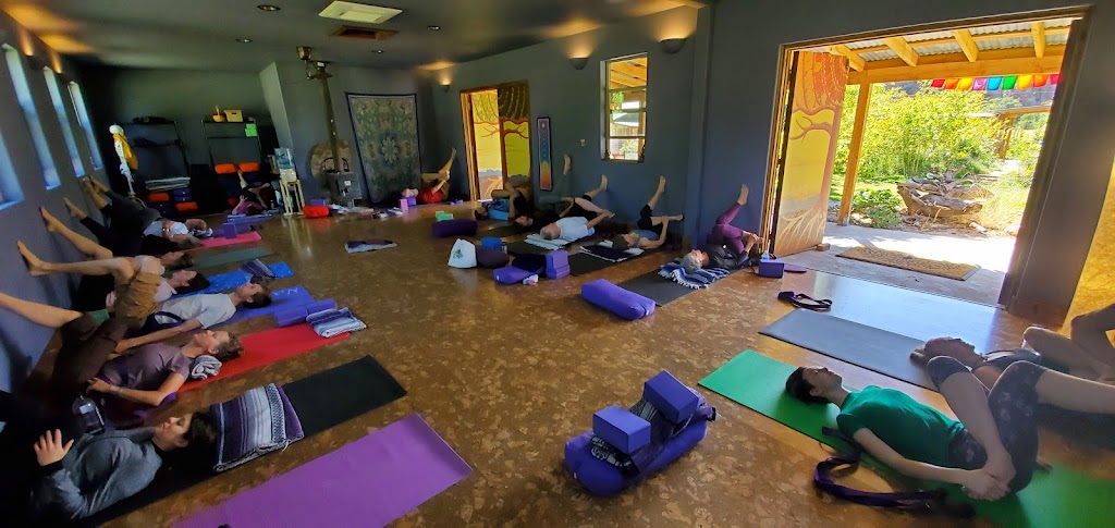  Gaia Tree wellness: Yoga & Ayurveda