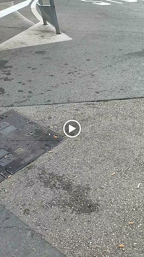 La forchetta pizzeria bocateria — Videos