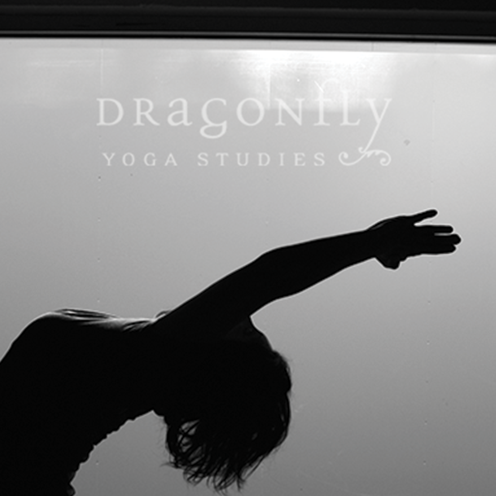  Dragonfly Yoga Studio
