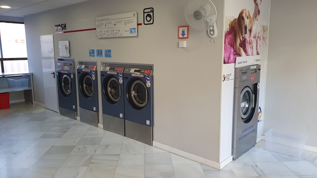 Lavanderia Bloomest Alcobendas Norte