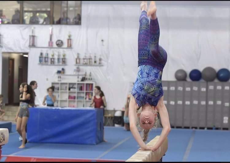  Peak Elite Gymnastics Academy