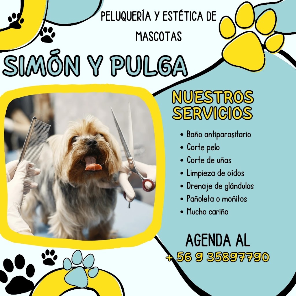 Perro