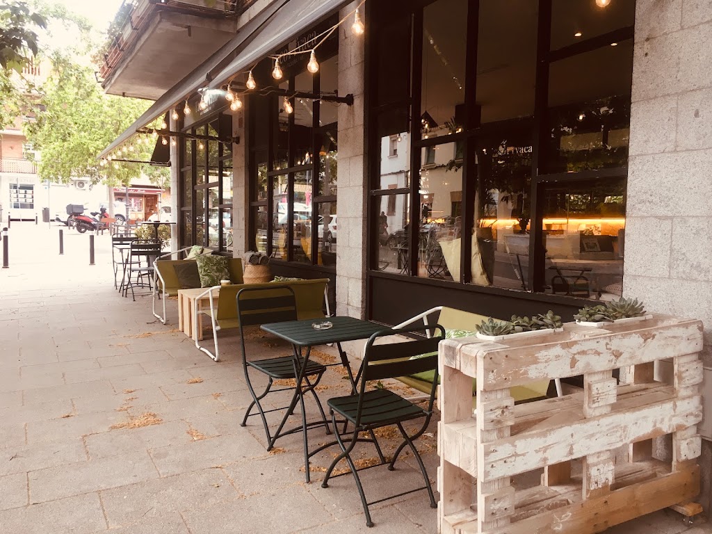Restaurante TACOVACA — Ambiente