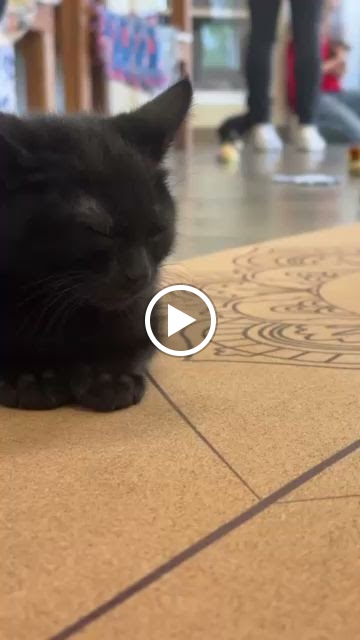  Mahad Yoga & Wellness