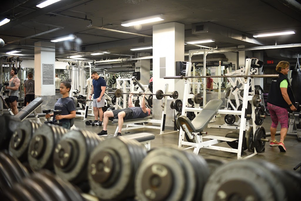  Synergy Fitness Clubs