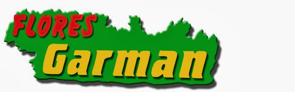Floristeria GARMAN — Del propietario