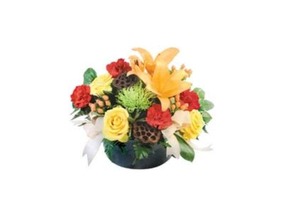 Novack Schafer Florist