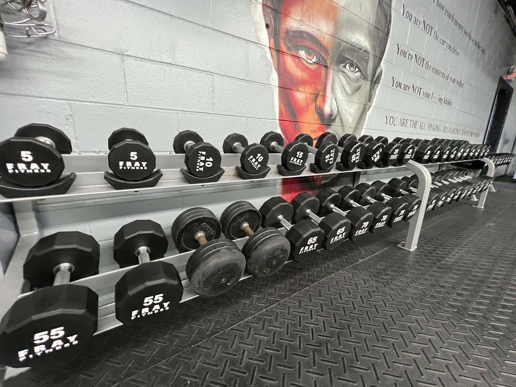  Black Hive Athletics