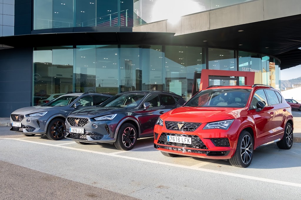 M MOTOR CUPRA Castellon