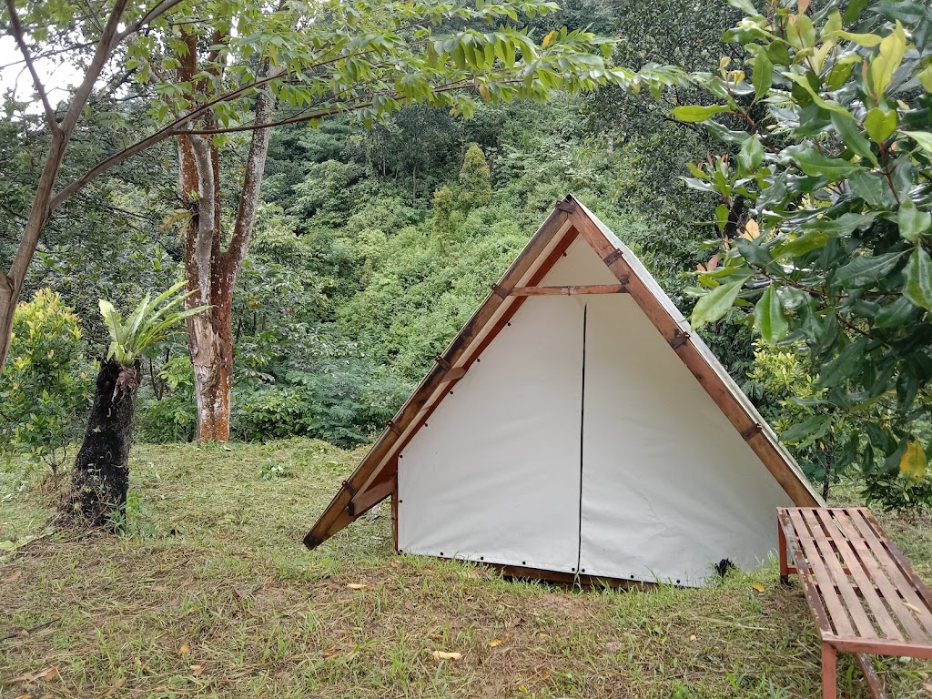 SURGA KOPI GLAMPING AND GROUND CAMP