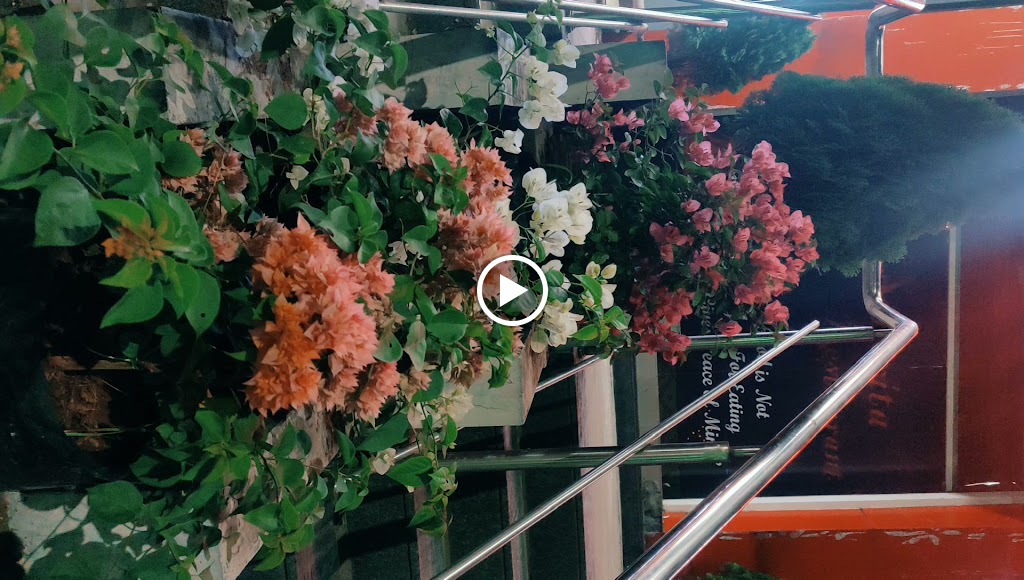 Videos