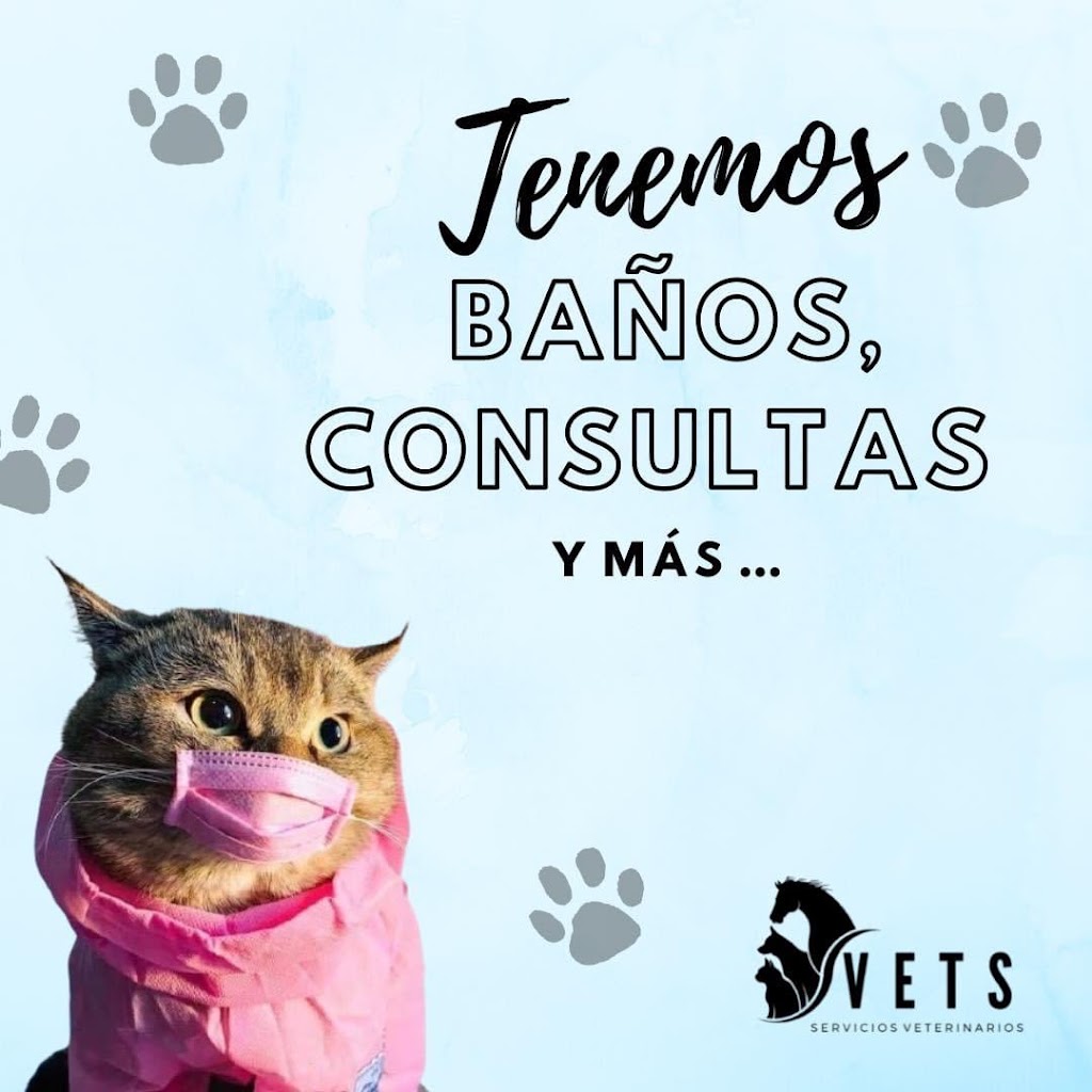 VETS Servicios Veterinarios — Gato