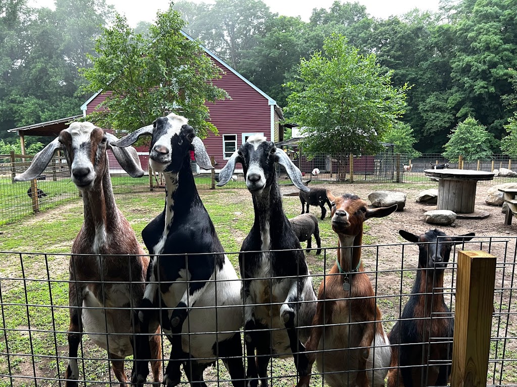  Anam Cara Wellness Sanctuary