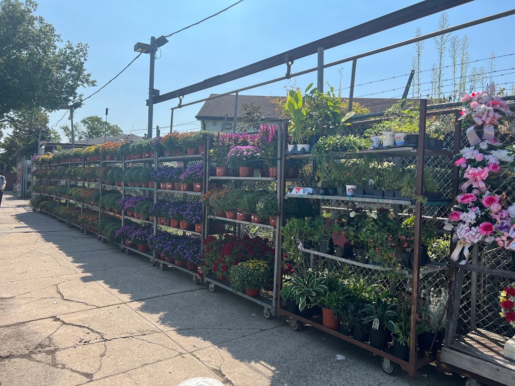 A & S Whitestone Florist