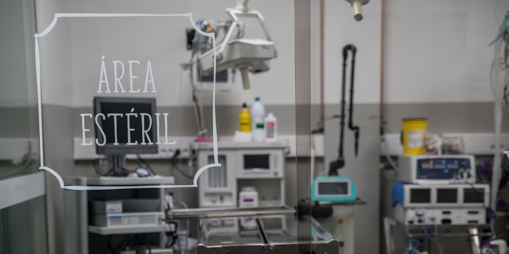 Hospital Veterinario Ramiro Tubio — Mas recientes
