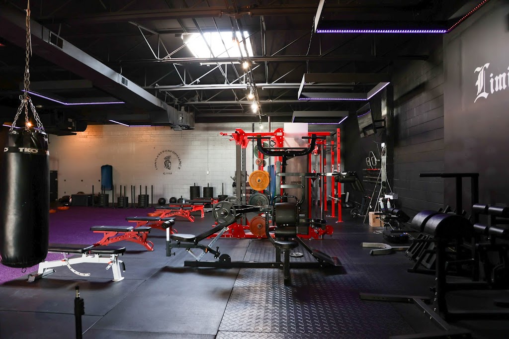  Limitless Performance Gym (LPG)