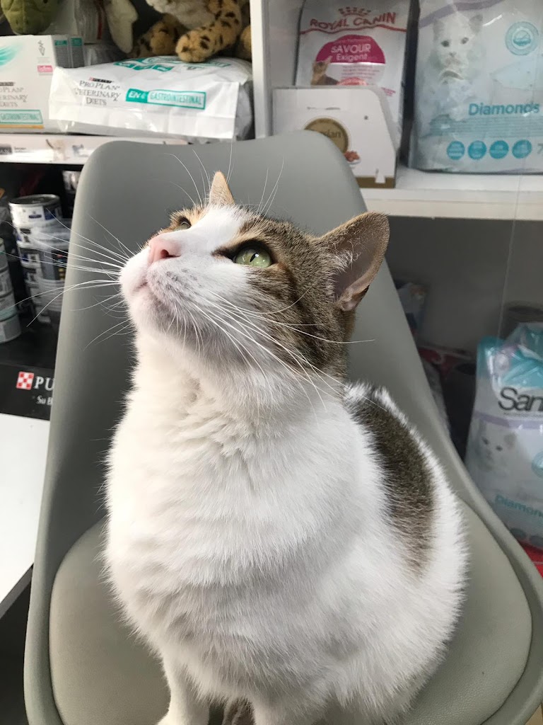 Centro Veterinario Area Central Sl