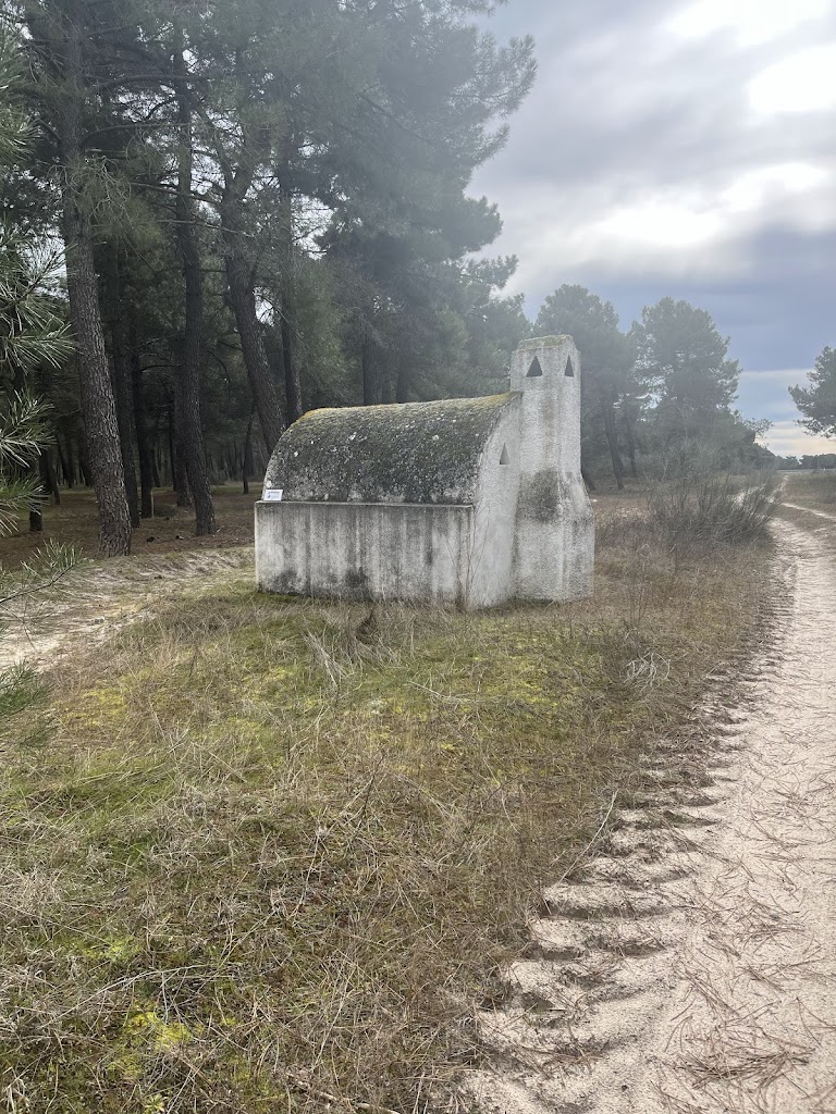 Camino Natural Via Verde del Eresma. Olmedo - Segovia