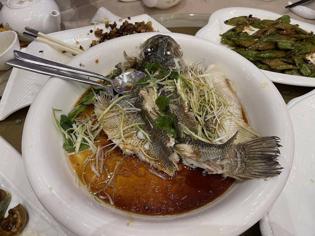 Sea bass