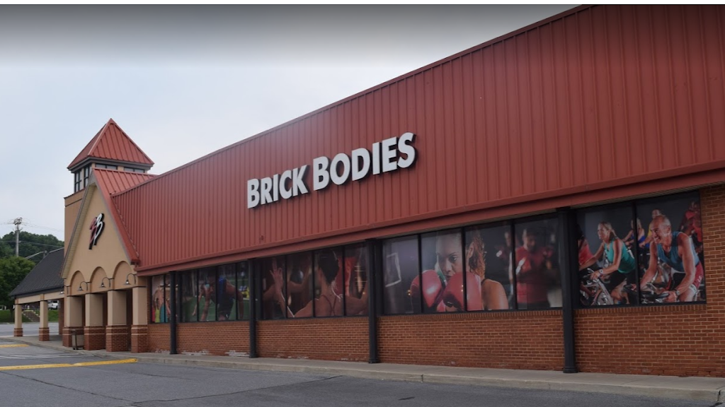  Brick Bodies