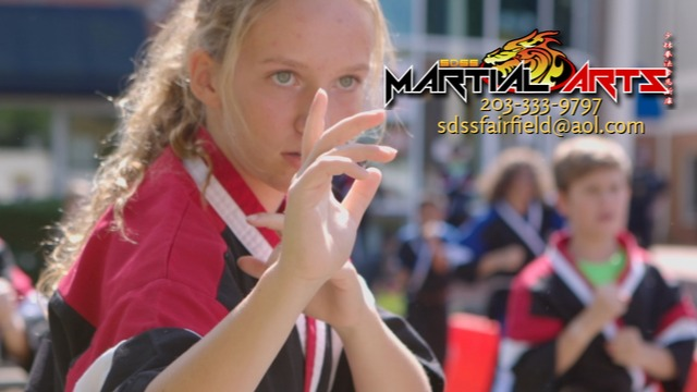  SDSS Martial Arts of Fairfield