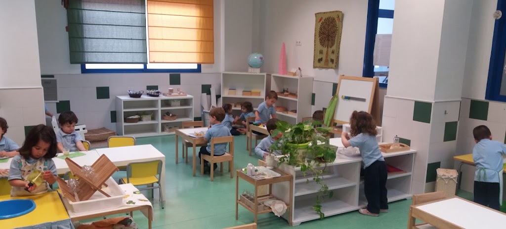 CENTRO DE EDUCACION INFANTIL MONTESSORI-SAN ISIDRO
