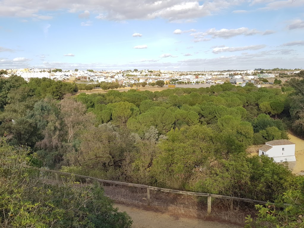 Punto encuentro Parque Alcala