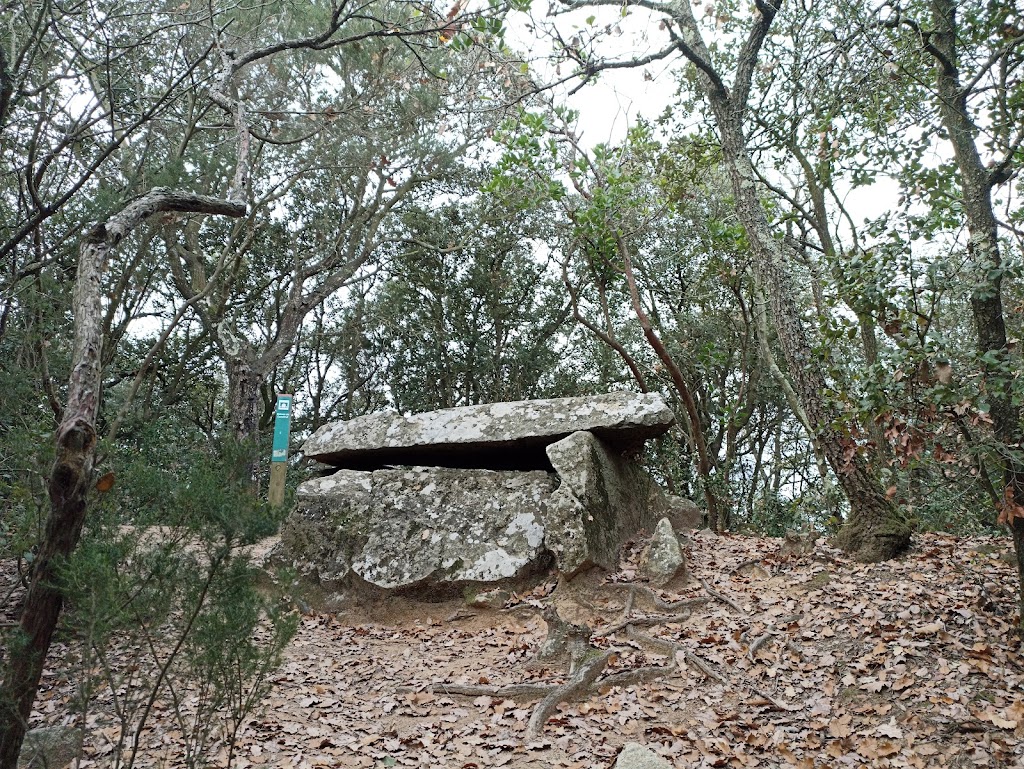 Dolmen de Castellruf