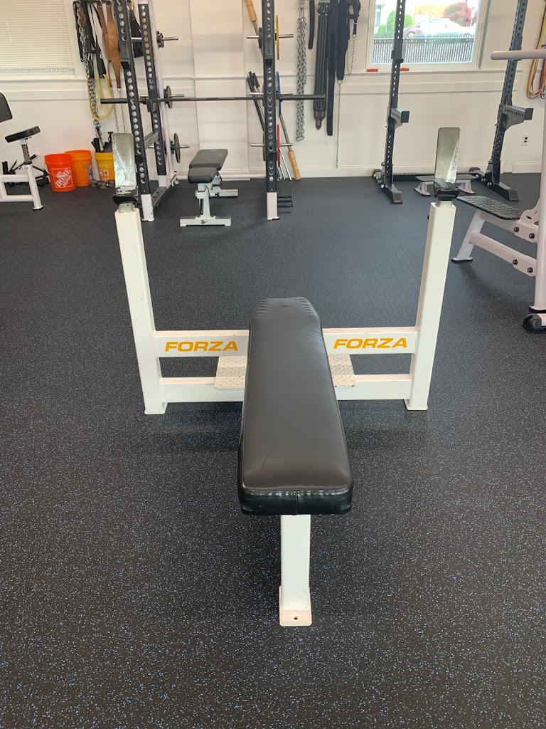  Body Focus Performance