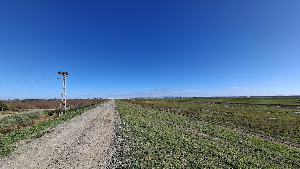 Humedal Cerro de las Ciguenas