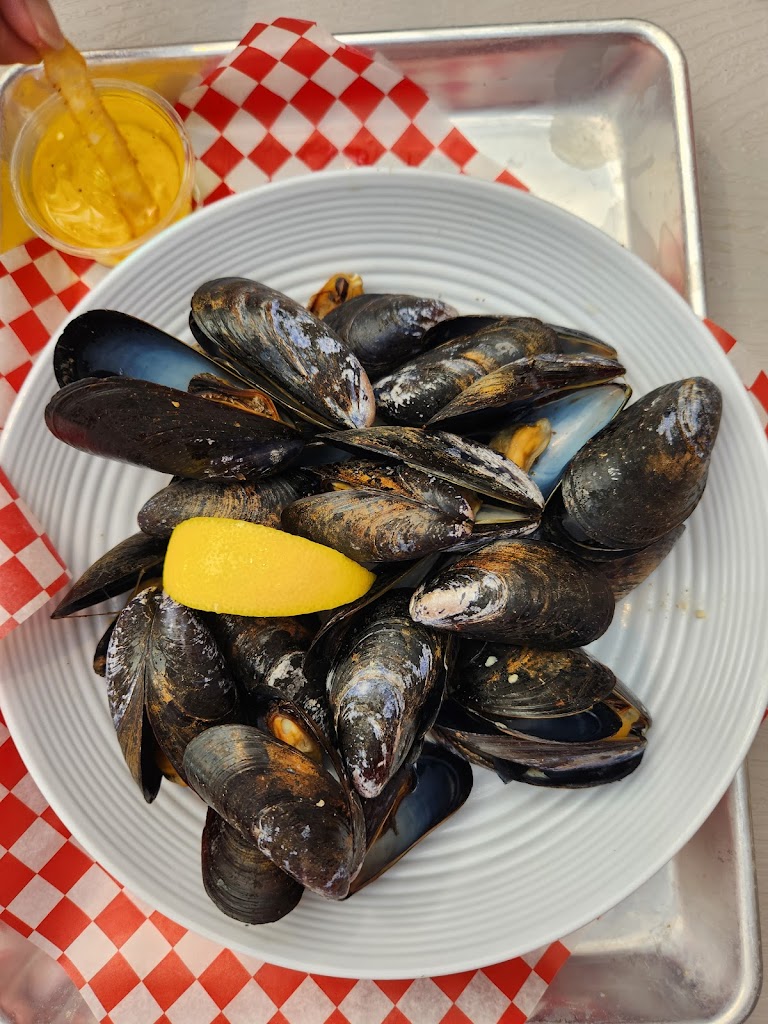 Mussels