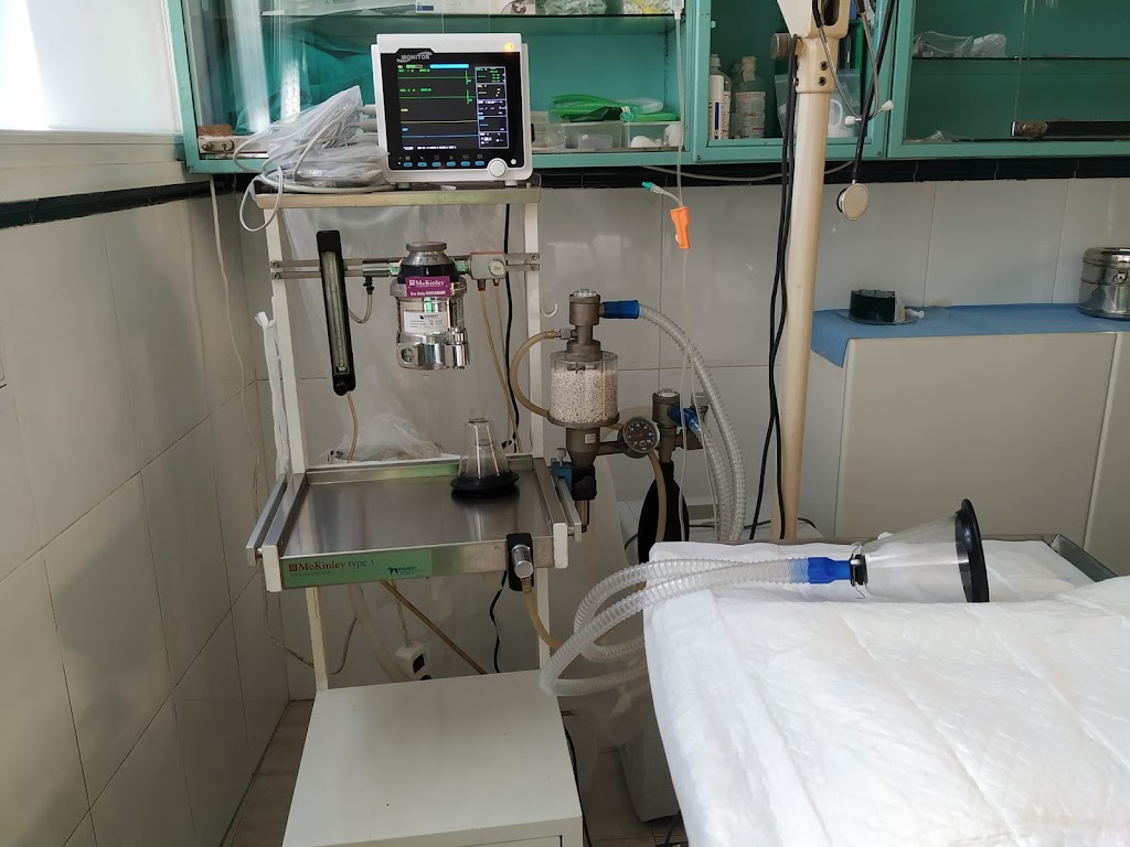 Clinica Veterinaria Leialak — Del propietario
