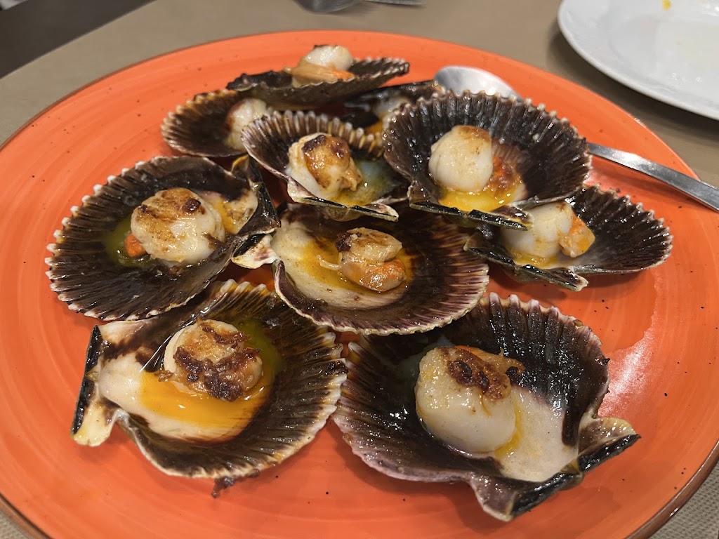 Taberna Abaco — Pectinidae