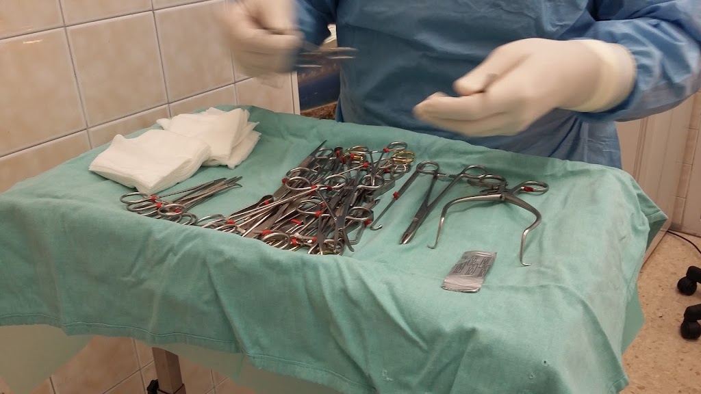 Centro Veterinario Lakua — Del propietario