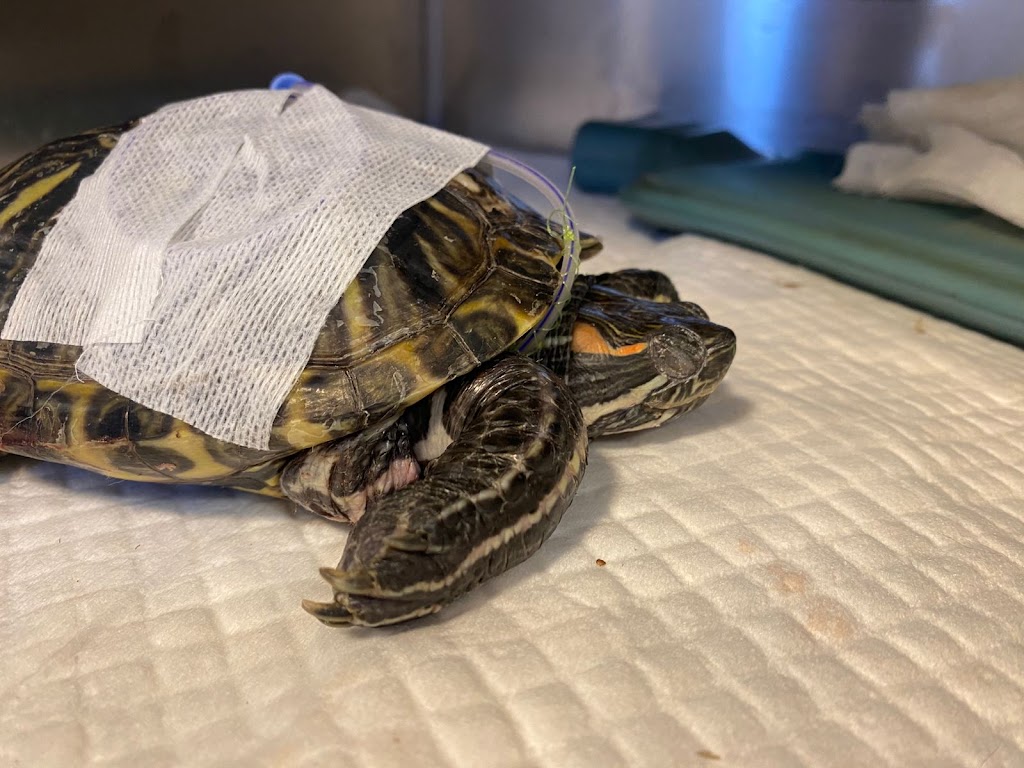 Medical Fauna Hospital Veterinario en La-Florida