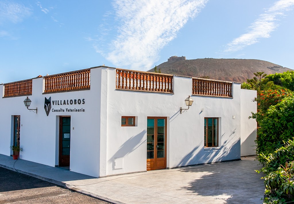 Villalobos Consulta Veterinaria