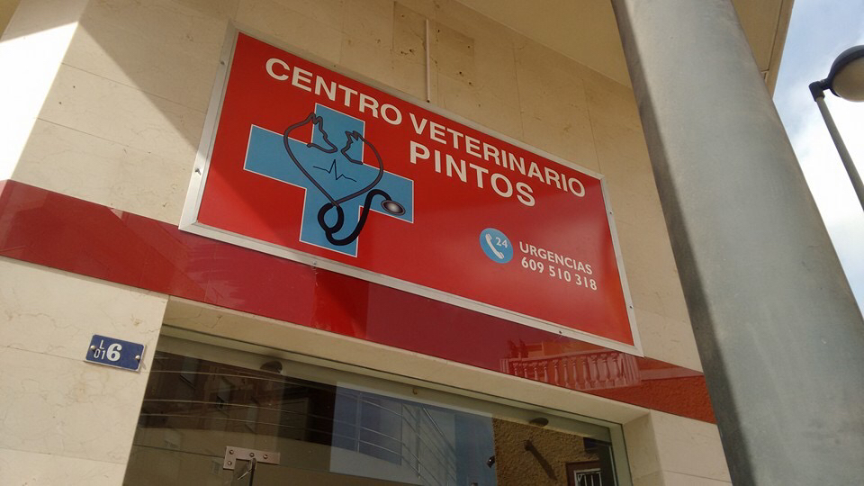 Centro Veterinario Pintos