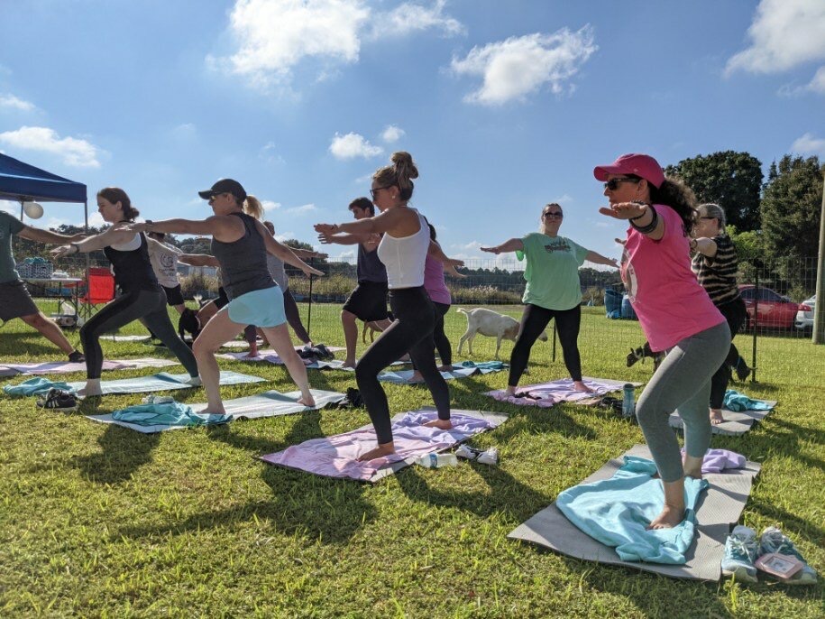  The Little Yogi - Goat Yoga Tampa