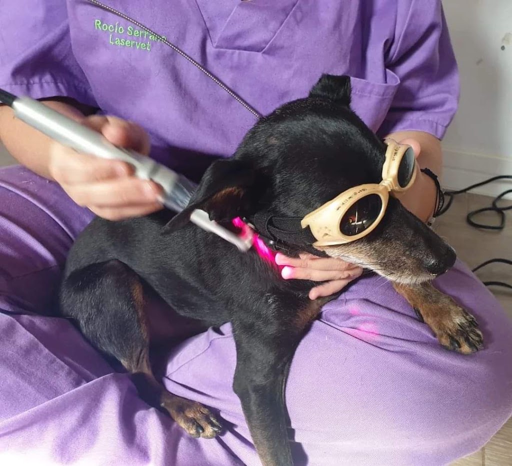 Rociolaservet rehabilitacion veterinaria a domicilio en Rivas Vaciamadrid — Del propietario