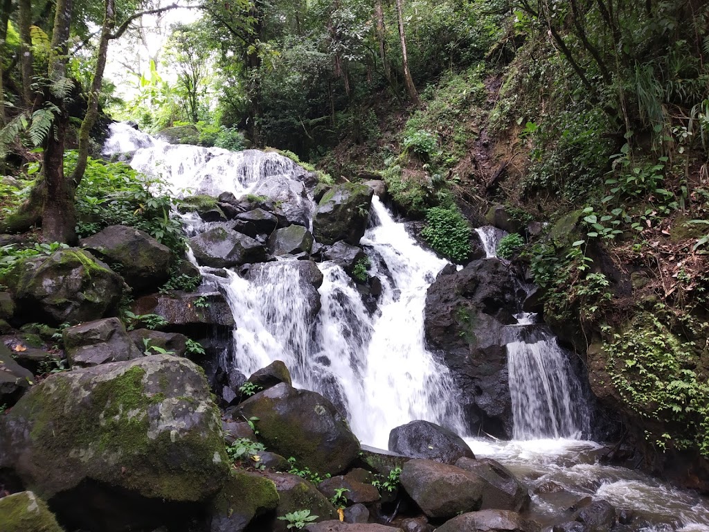 ALAM ENDAH Arboretum Park