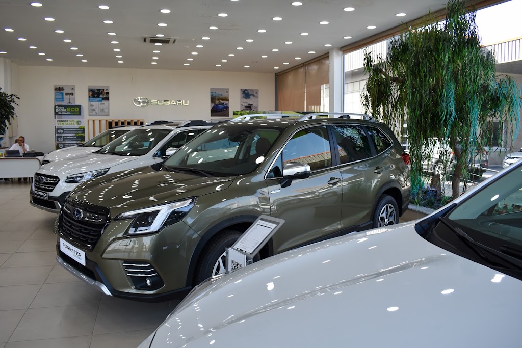 Concesionario Oficial Subaru Leganes - Trade Gamboa — Todas
