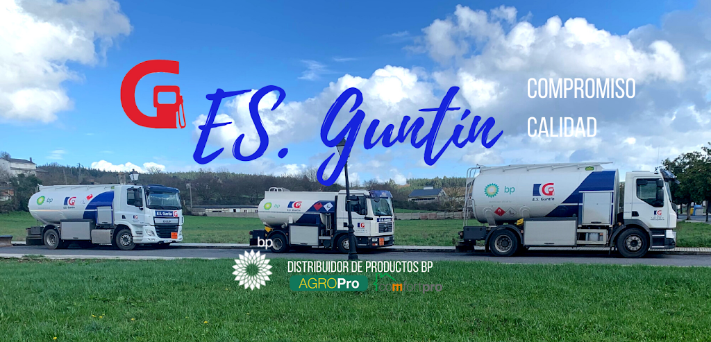 Estacion De Servicio Guntin