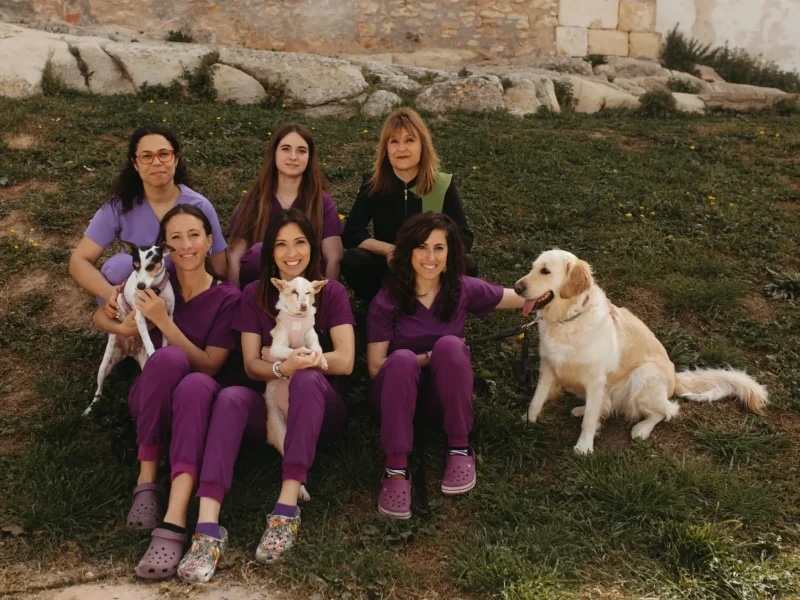 Clinica Veterinaria Trivet Calafell