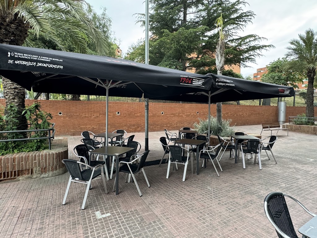 Bar Las Palmeras — Ambiente