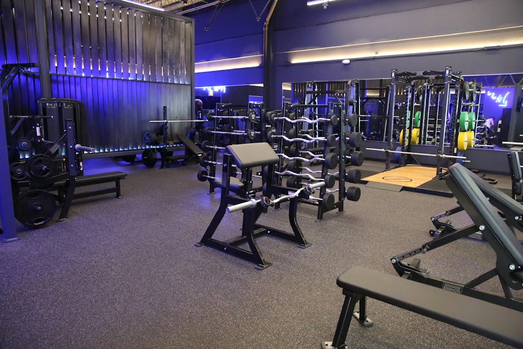  The Open Gym at HYLO Fitness