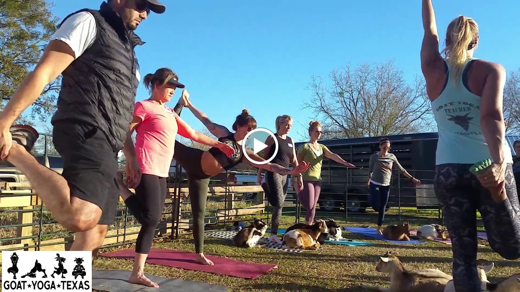  Goat Yoga Texas
