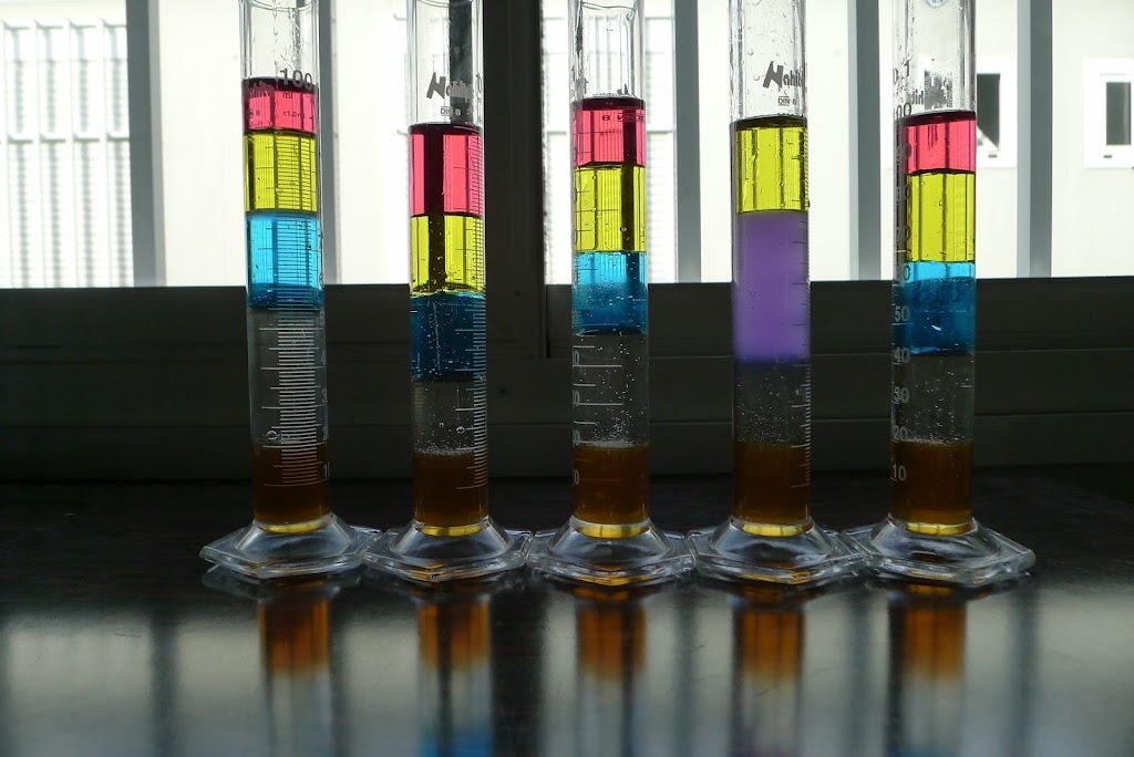 Institut Domus d'Olivet