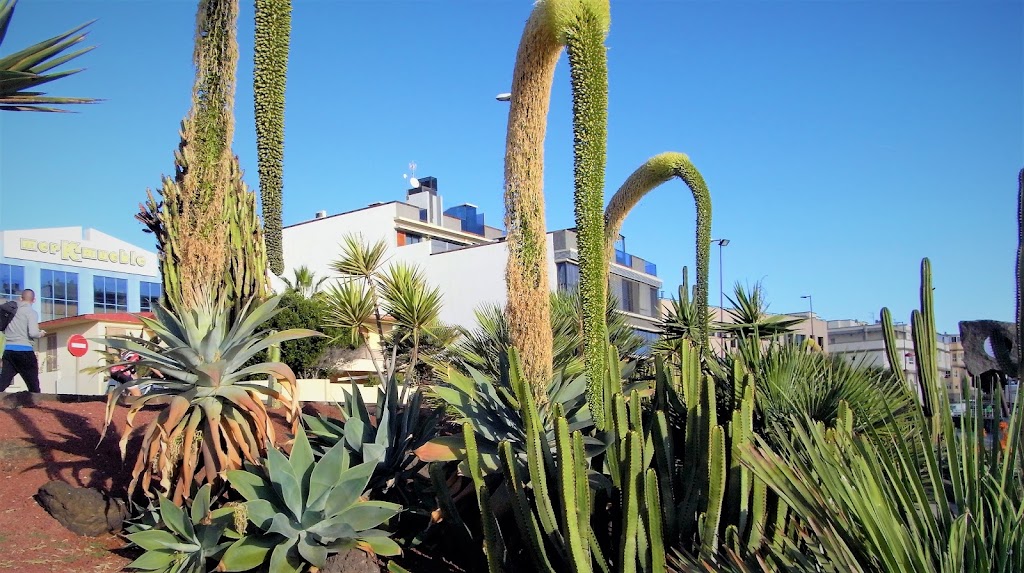 Fuerteventura Beach Vacations